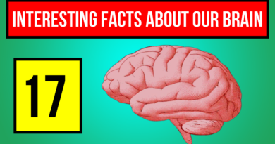 17-interesting-facts-about-our-brain