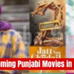 Upcoming Punjabi Movies in 2024
